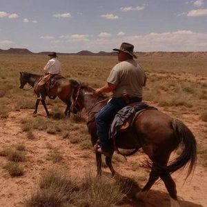 Meet your Posher, Alan